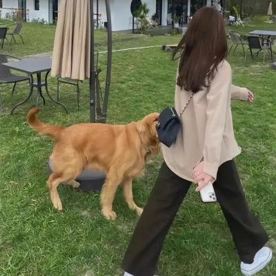 妈妈咪呀2