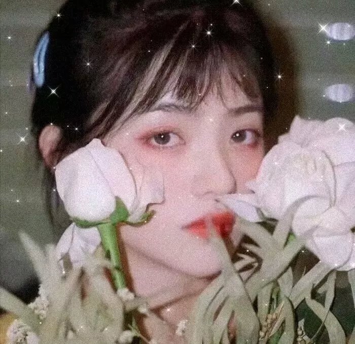 居无定所